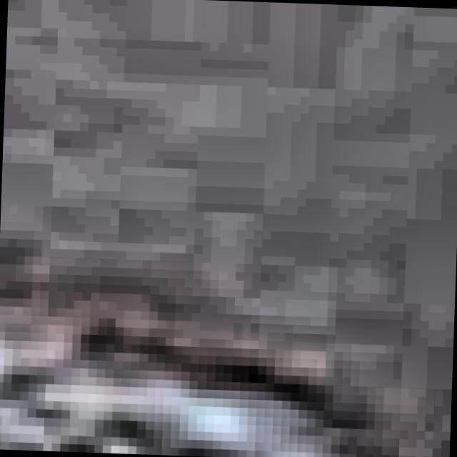 Dataset Image