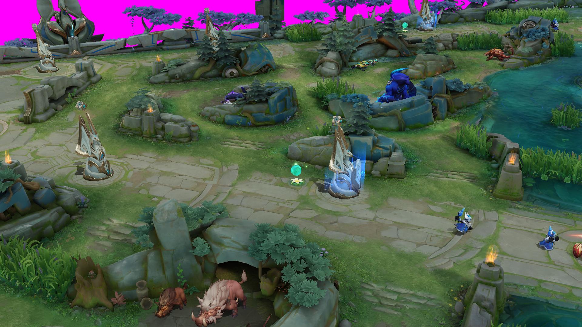 Dataset Image