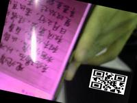 Dataset Image