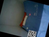 Dataset Image