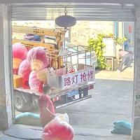 Dataset Image