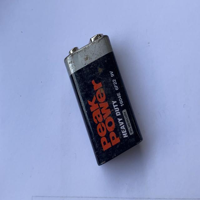 Dataset Image