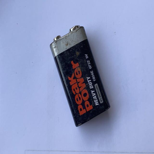 Dataset Image