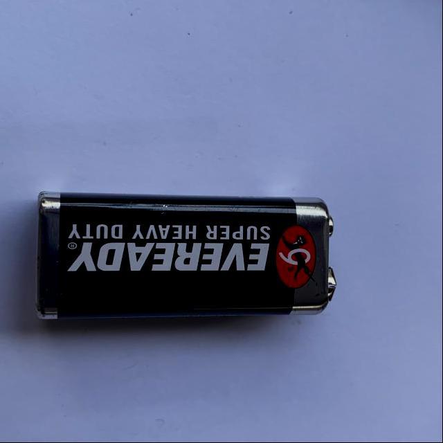 Dataset Image