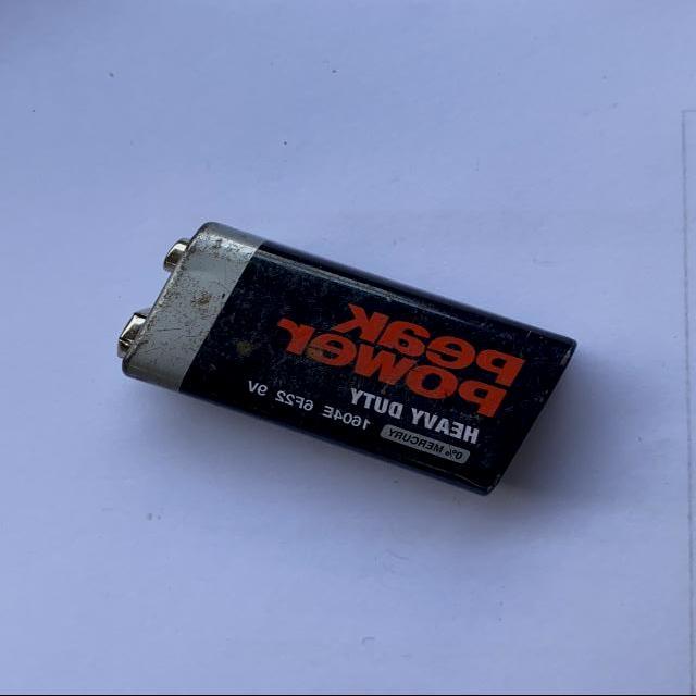 Dataset Image