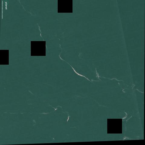 Dataset Image