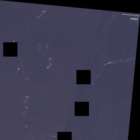 Dataset Image