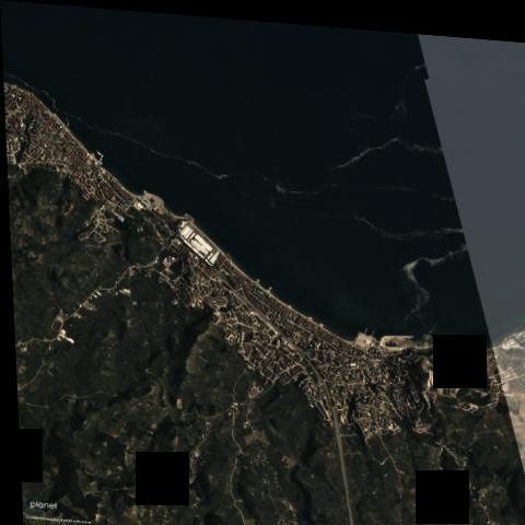 Dataset Image