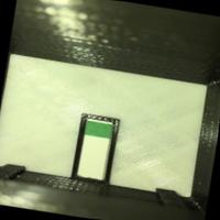 Dataset Image