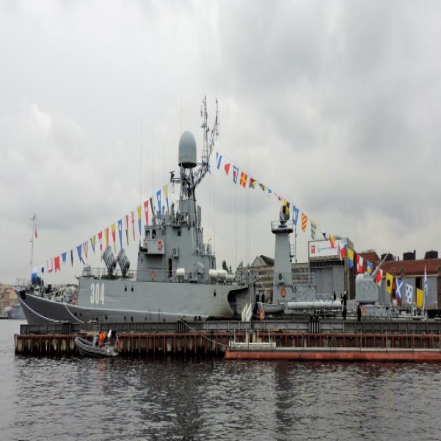 Dataset Image