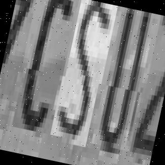 Dataset Image