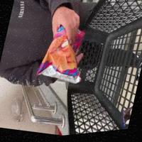 Dataset Image
