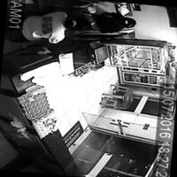 Dataset Image