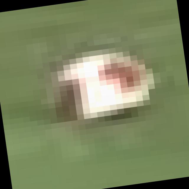 Dataset Image