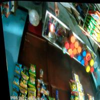 Dataset Image