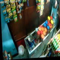 Dataset Image