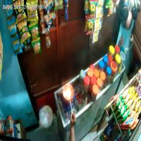 Dataset Image