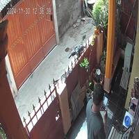 Dataset Image