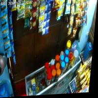 Dataset Image