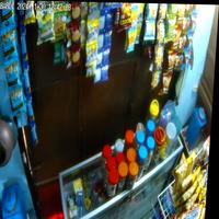 Dataset Image