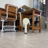 Dataset Image