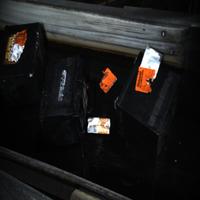 Dataset Image