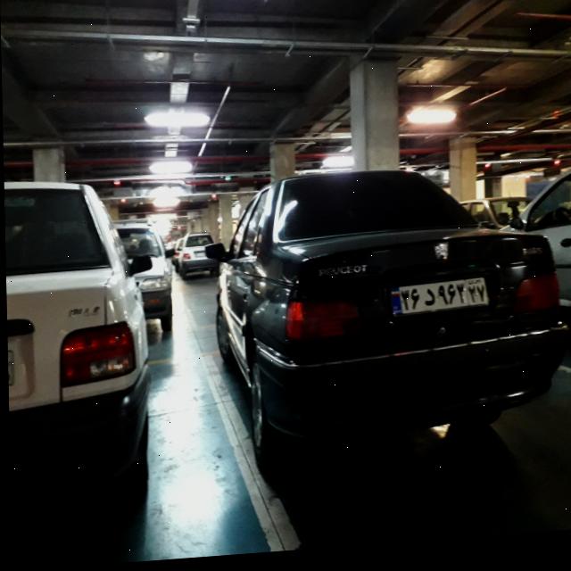 Dataset Image