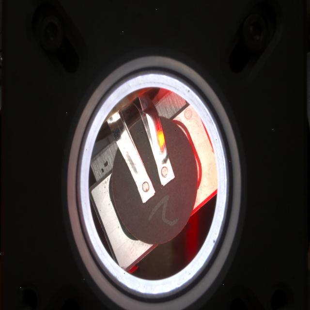 Dataset Image