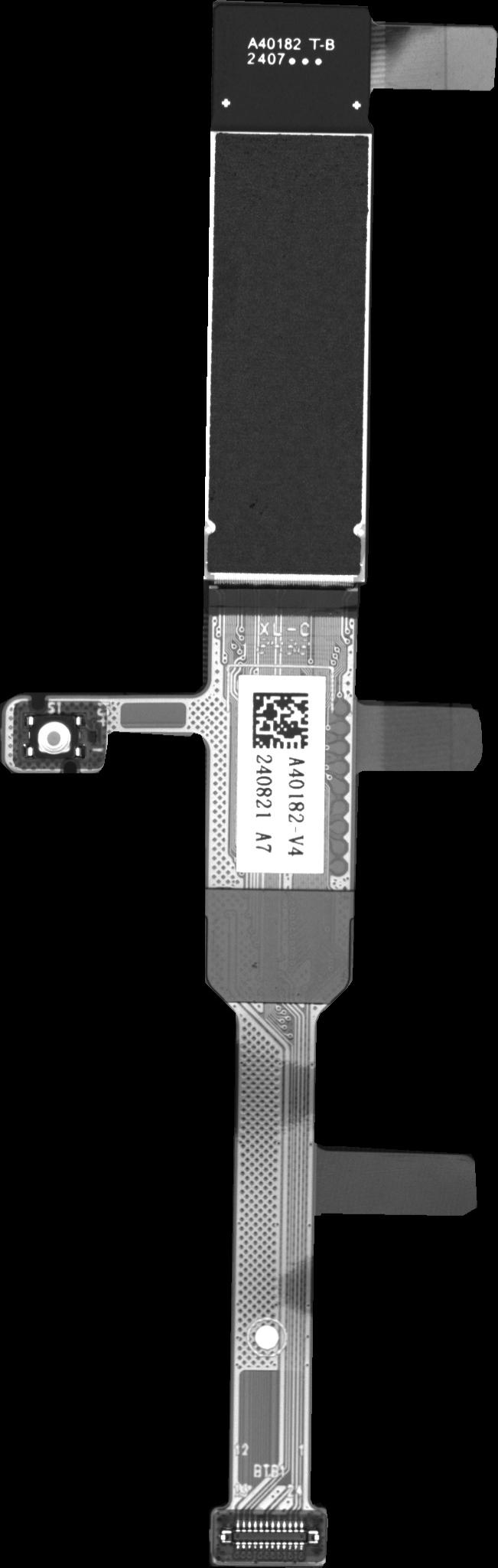Dataset Image