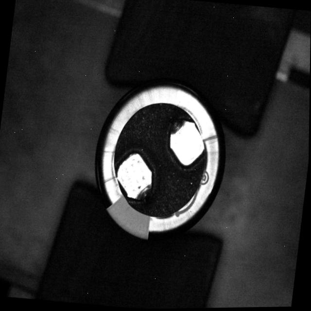 Dataset Image