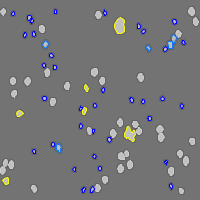 Annotation Visualization