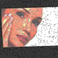 Dataset Image