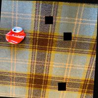 Dataset Image