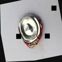 Dataset Image