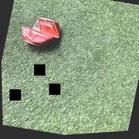 Dataset Image