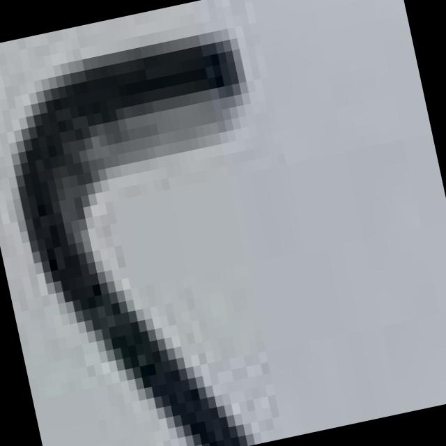 Dataset Image