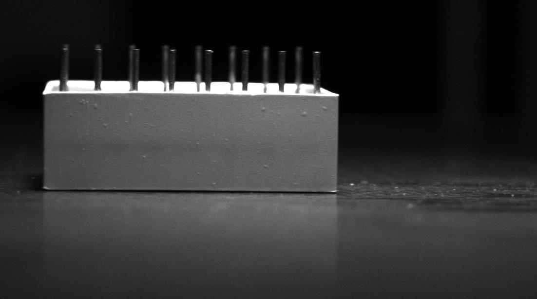 Dataset Image