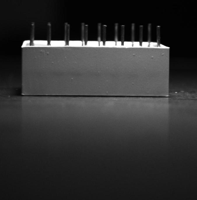 Dataset Image