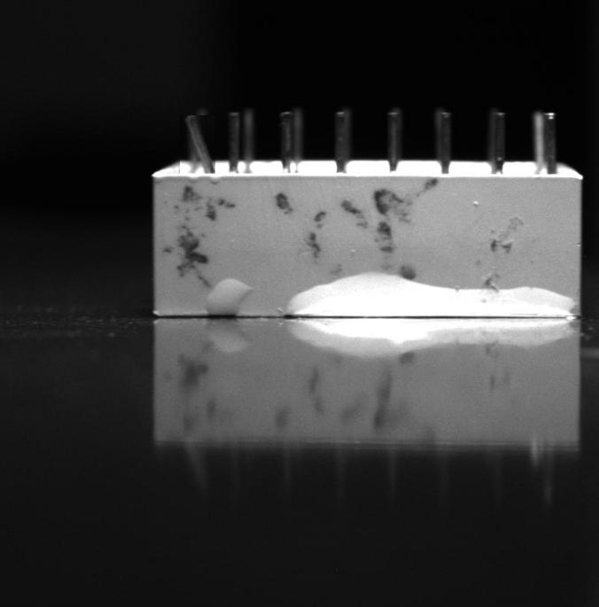 Dataset Image