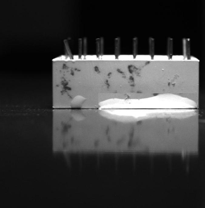 Dataset Image