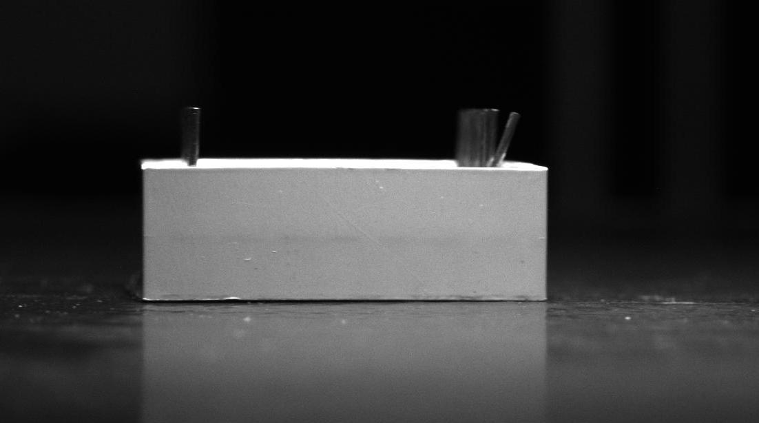 Dataset Image