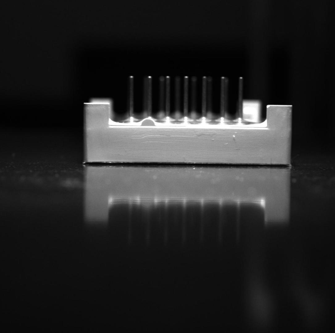 Dataset Image