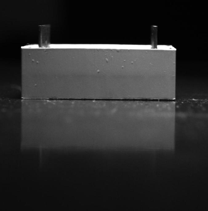 Dataset Image