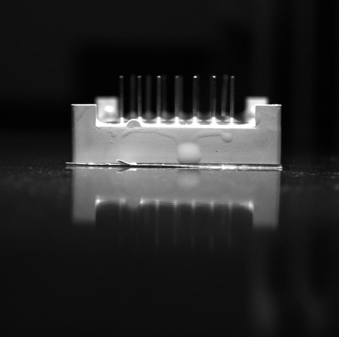 Dataset Image
