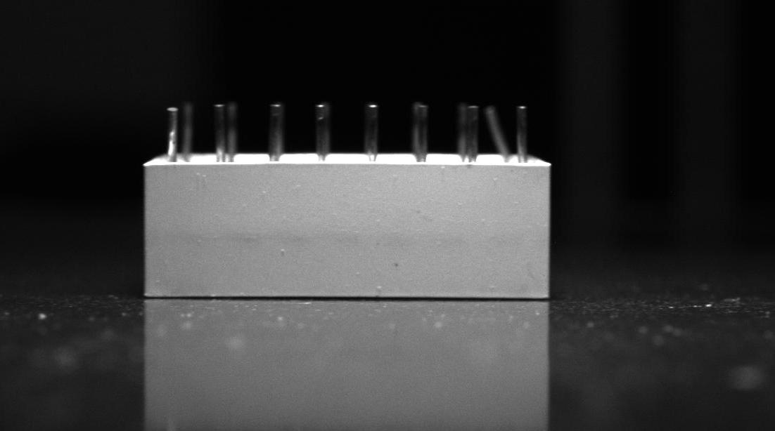 Dataset Image