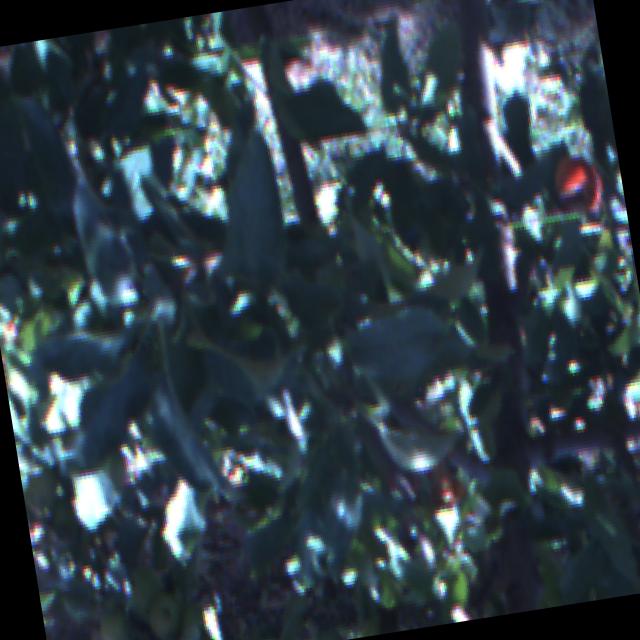 Dataset Image