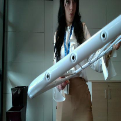 Dataset Image