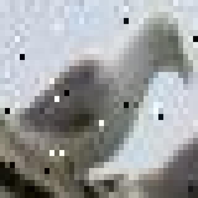 Dataset Image