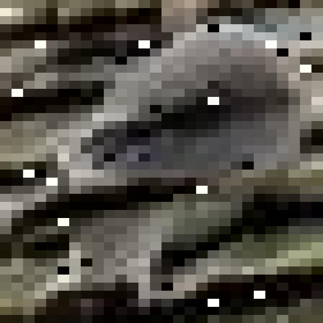 Dataset Image