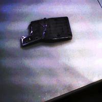 Dataset Image